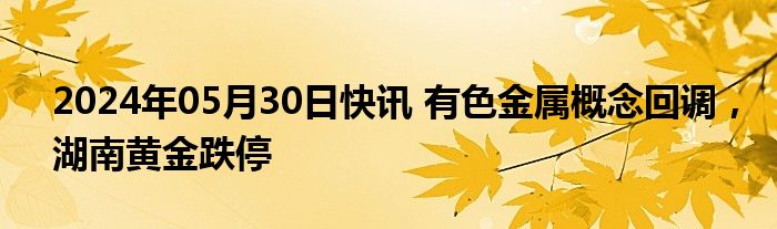 2024年05月30日快讯 有色金属概念回调，湖南黄金跌停