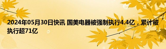 2024年05月30日快讯 国美电器被强制执行4.4亿，累计被执行超71亿