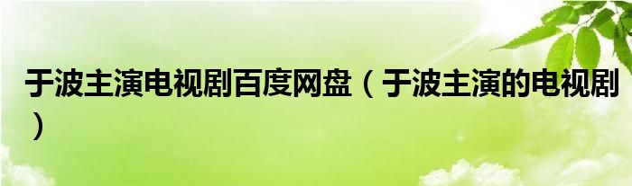 于波主演电视剧百度网盘（于波主演的电视剧）