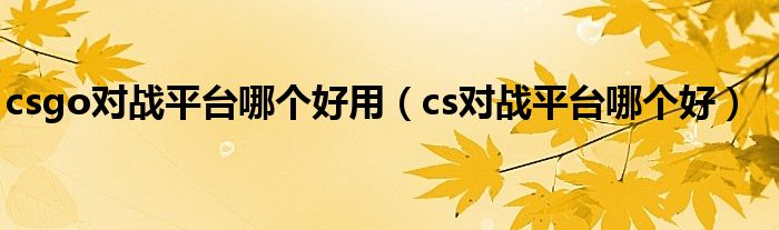 csgo对战平台哪个好用（cs对战平台哪个好）