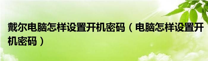 戴尔电脑怎样设置开机密码（电脑怎样设置开机密码）