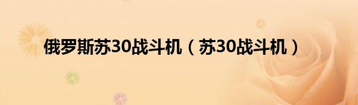 俄罗斯苏30战斗机（苏30战斗机）