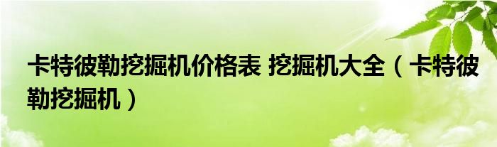 卡特彼勒挖掘机价格表 挖掘机大全（卡特彼勒挖掘机）