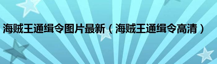 海贼王通缉令图片最新（海贼王通缉令高清）