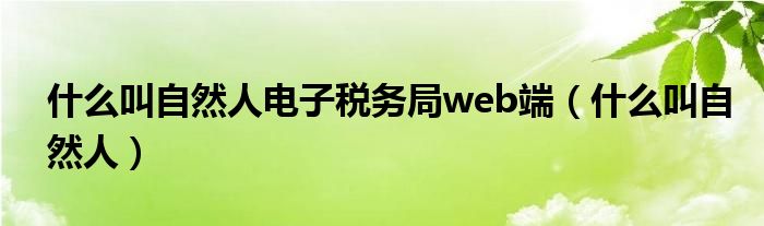 什么叫自然人电子税务局web端（什么叫自然人）