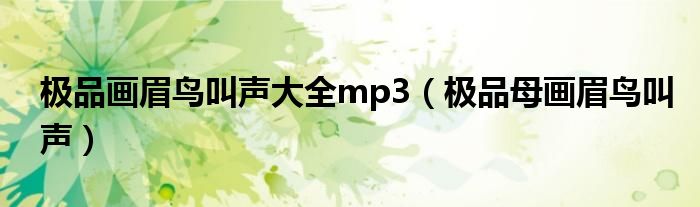 极品画眉鸟叫声大全mp3（极品母画眉鸟叫声）