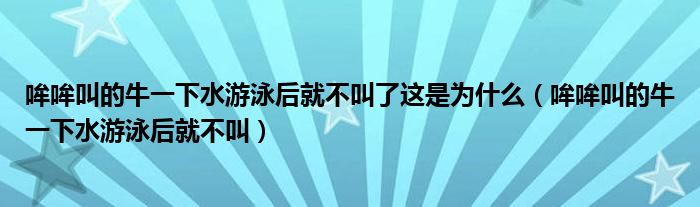 哞哞叫的牛一下水游泳后就不叫了这是为什么（哞哞叫的牛一下水游泳后就不叫）