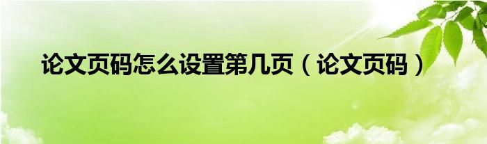 论文页码怎么设置第几页（论文页码）