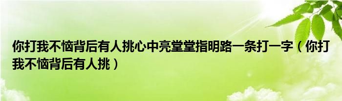 你打我不恼背后有人挑心中亮堂堂指明路一条打一字（你打我不恼背后有人挑）