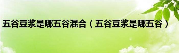 五谷豆浆是哪五谷混合（五谷豆浆是哪五谷）