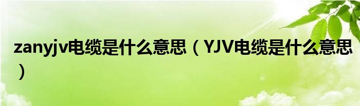 zanyjv电缆是什么意思（YJV电缆是什么意思）