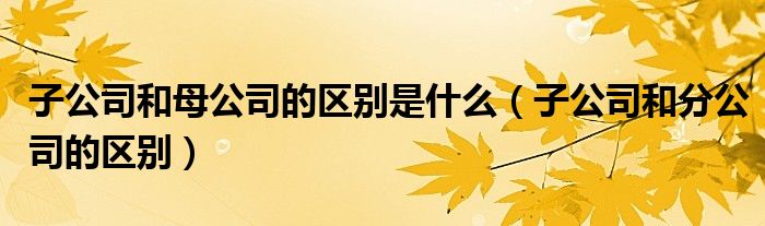 子公司和母公司的区别是什么（子公司和分公司的区别）