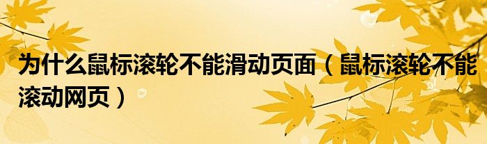 为什么鼠标滚轮不能滑动页面（鼠标滚轮不能滚动网页）