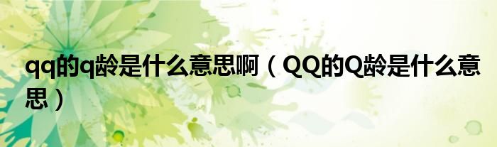 qq的q龄是什么意思啊（QQ的Q龄是什么意思）