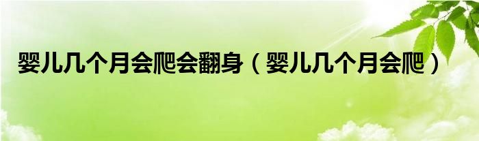 婴儿几个月会爬会翻身（婴儿几个月会爬）