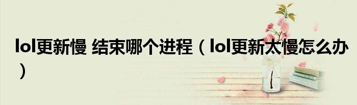 lol更新慢 结束哪个进程（lol更新太慢怎么办）