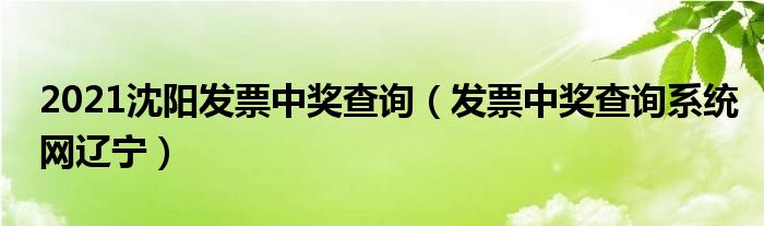 2021沈阳发票中奖查询（发票中奖查询系统网辽宁）