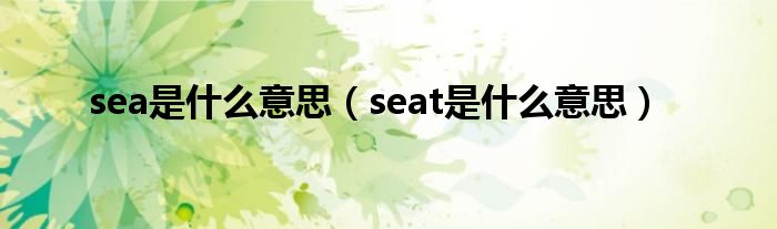 sea是什么意思（seat是什么意思）