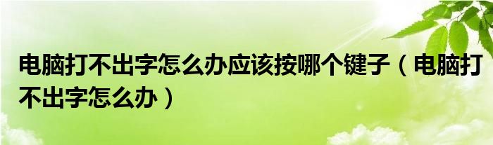 电脑打不出字怎么办应该按哪个键子（电脑打不出字怎么办）