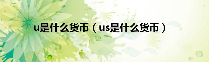 u是什么货币（us是什么货币）