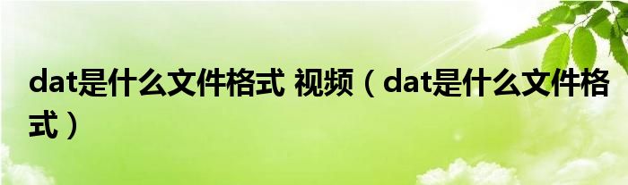 dat是什么文件格式 视频（dat是什么文件格式）