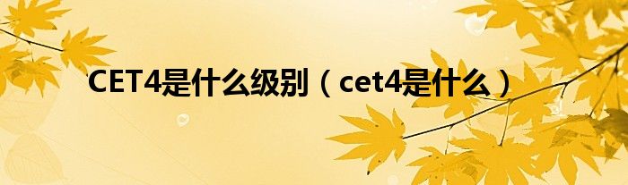 CET4是什么级别（cet4是什么）