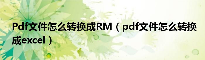 Pdf文件怎么转换成RM（pdf文件怎么转换成excel）