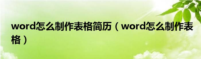 word怎么制作表格简历（word怎么制作表格）