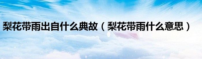 梨花带雨出自什么典故（梨花带雨什么意思）