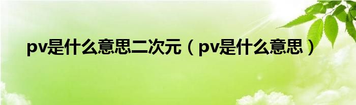 pv是什么意思二次元（pv是什么意思）