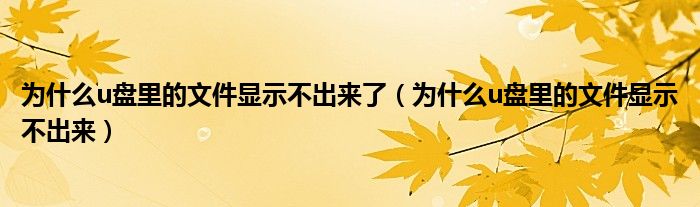 为什么u盘里的文件显示不出来了（为什么u盘里的文件显示不出来）