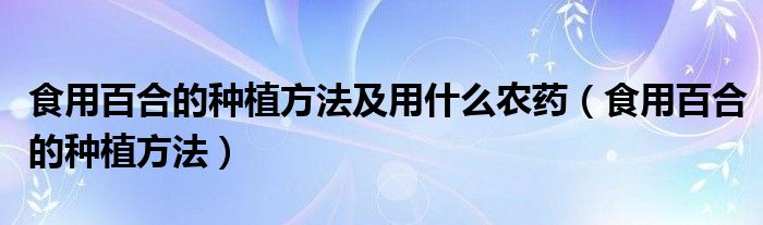 食用百合的种植方法及用什么农药（食用百合的种植方法）