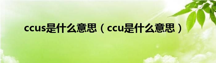 ccus是什么意思（ccu是什么意思）