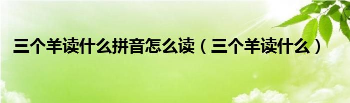 三个羊读什么拼音怎么读（三个羊读什么）