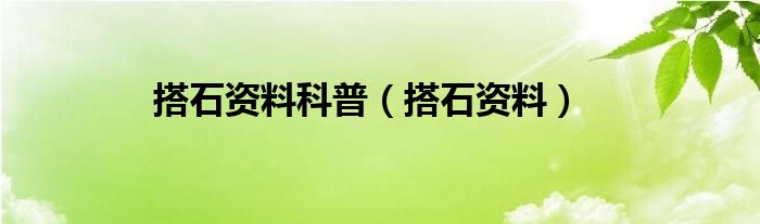 搭石资料科普（搭石资料）