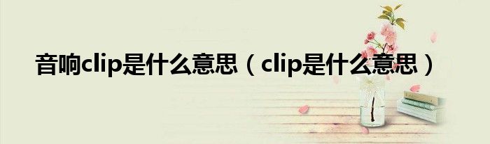 音响clip是什么意思（clip是什么意思）