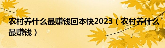 农村养什么最赚钱回本快2023（农村养什么最赚钱）