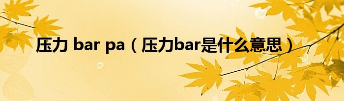 压力 bar pa（压力bar是什么意思）