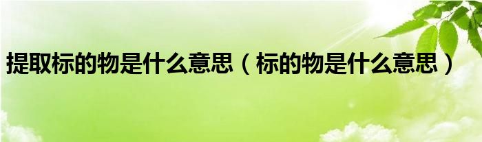 提取标的物是什么意思（标的物是什么意思）