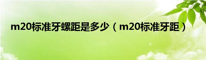 m20标准牙螺距是多少（m20标准牙距）