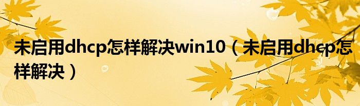 未启用dhcp怎样解决win10（未启用dhcp怎样解决）