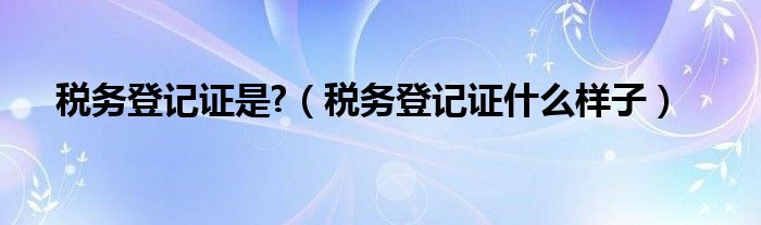 税务登记证是?（税务登记证什么样子）