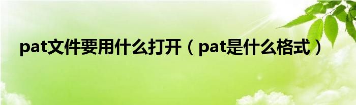 pat文件要用什么打开（pat是什么格式）