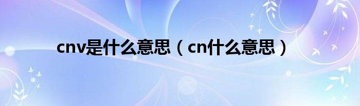 cnv是什么意思（cn什么意思）