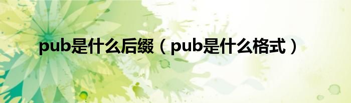 pub是什么后缀（pub是什么格式）