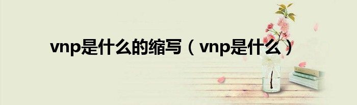 vnp是什么的缩写（vnp是什么）