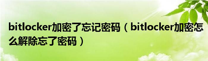 bitlocker加密了忘记密码（bitlocker加密怎么解除忘了密码）