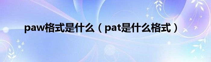 paw格式是什么（pat是什么格式）