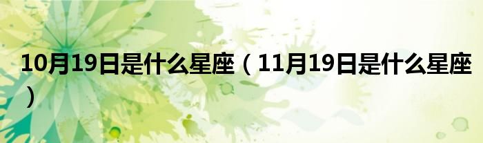 10月19日是什么星座（11月19日是什么星座）