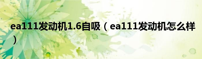 ea111发动机1.6自吸（ea111发动机怎么样）